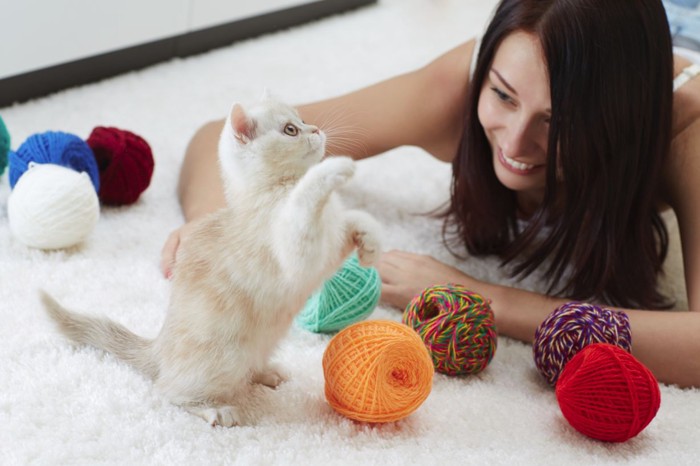 猫と毛糸で遊ぶ女性
