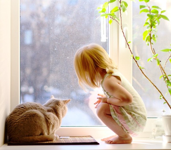 窓の外を少女と眺める猫