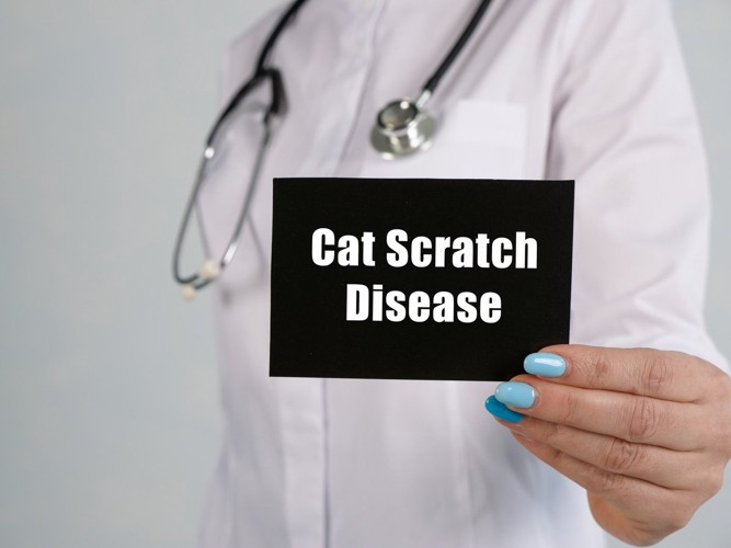 CatScratchDiseaseのプラカードを持つ女性