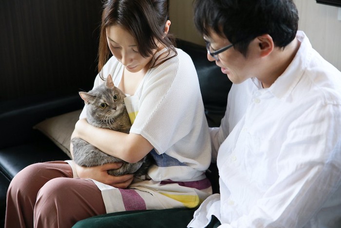 ソファーに座って猫を抱く女性と見守る男性