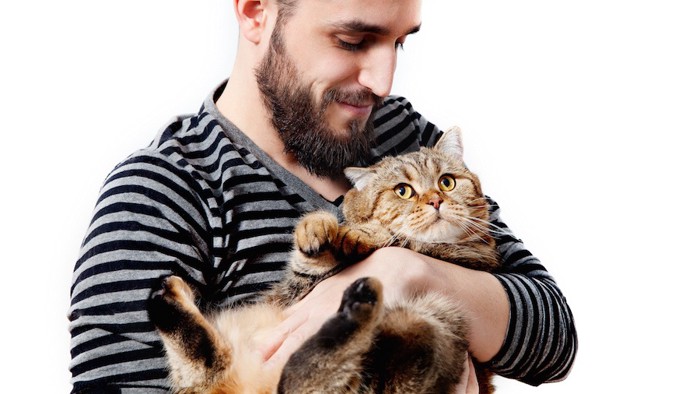 ぽっちゃり猫を抱っこする男性