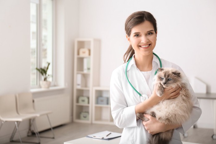 笑顔の女性獣医師に抱かれた猫