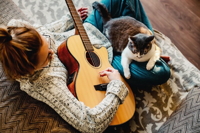 ギターを奏でる女性の膝の上の猫