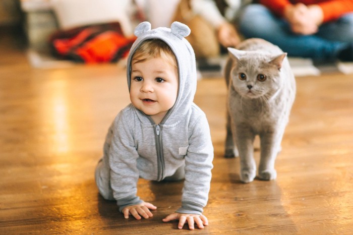 ハイハイする赤ちゃんと隣を歩く猫