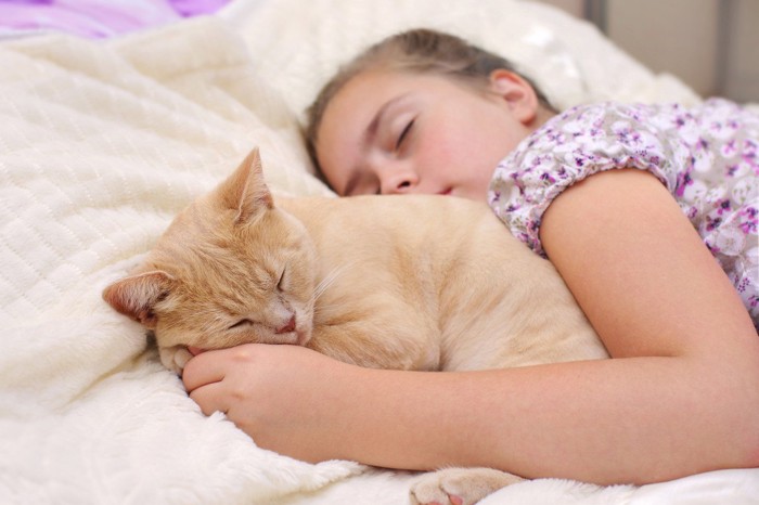 少女の腕の中で寝る猫