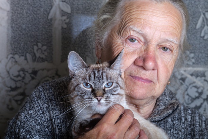 高齢者と猫
