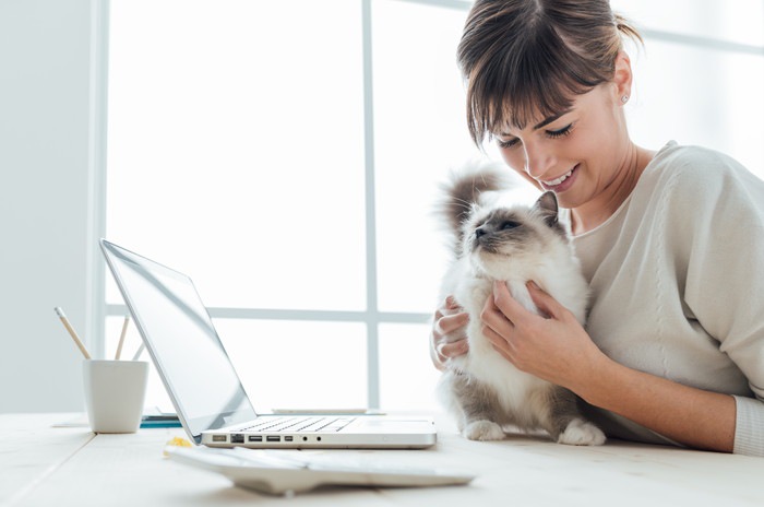 パソコンをみる猫と女性の写真