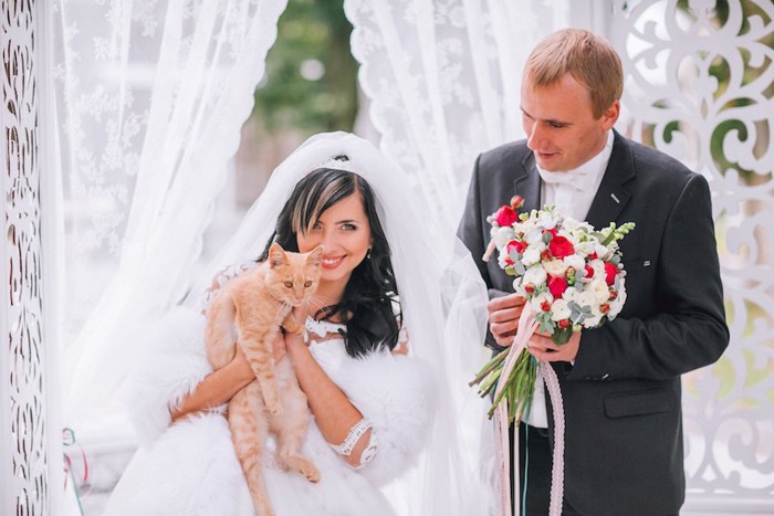 新郎の隣で花嫁に抱かれている猫
