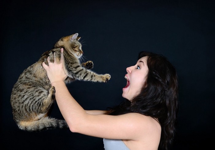 叫ぶ女性に抱き上げられる猫