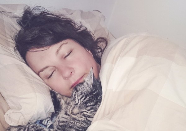 女性と寝る猫