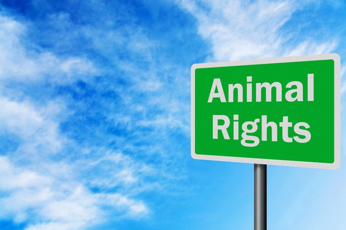 動物の権利を主張した看板