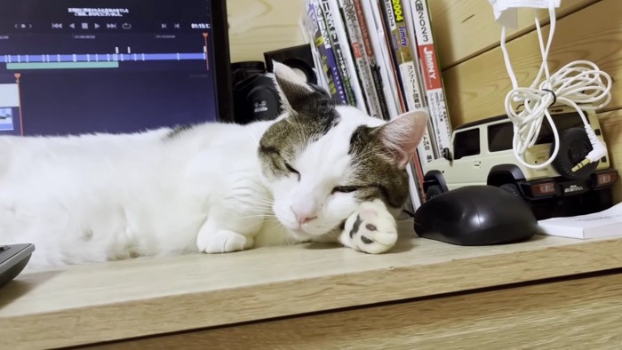 セルフ腕枕で眠る猫