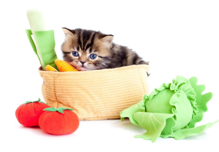 猫と野菜のおもちゃ