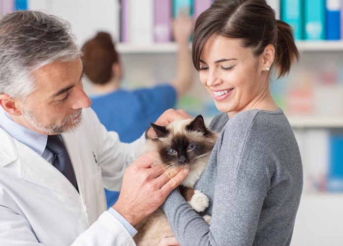 獣医師と飼い主に抱かれる猫