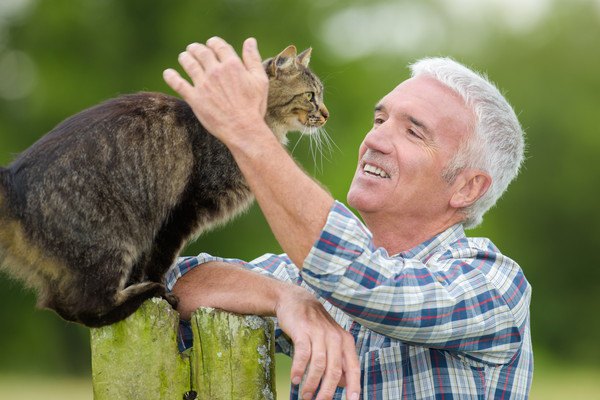 高齢者の男性に撫でられる猫