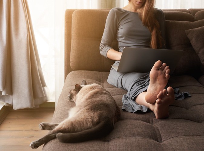 ソファーでパソコンを見る人とくつろぐ猫