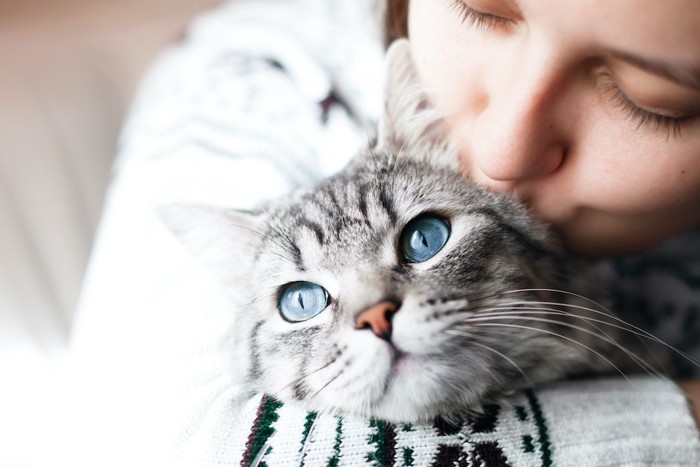 青い目の猫を抱きしめてキスをする女性
