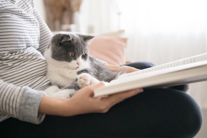 本を読む人と猫