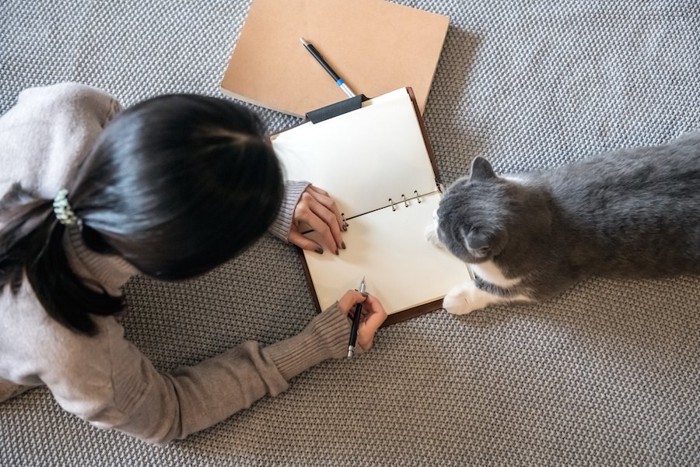 ノートに書く女性の横にいる猫