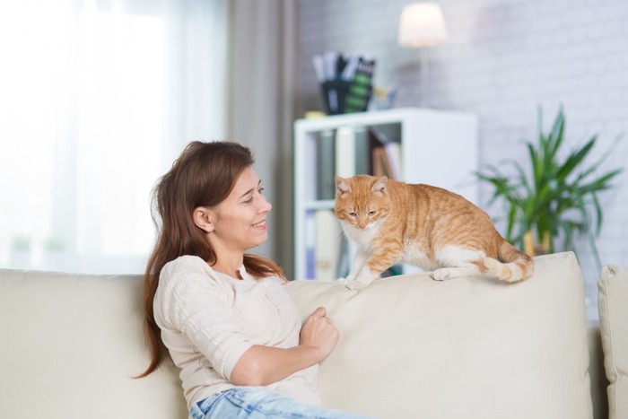 ソファーにいる女性と猫