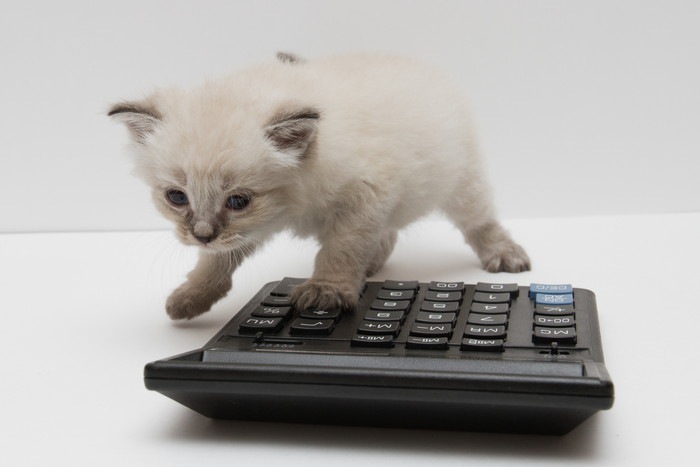 子猫と電卓