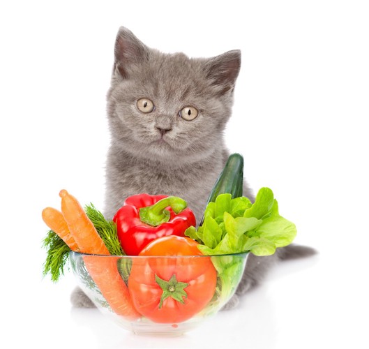 野菜と仔猫