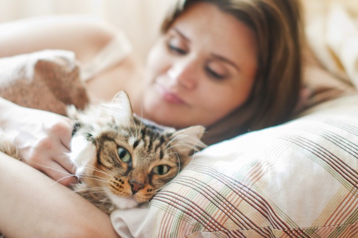 同じ枕で眠る女性と猫