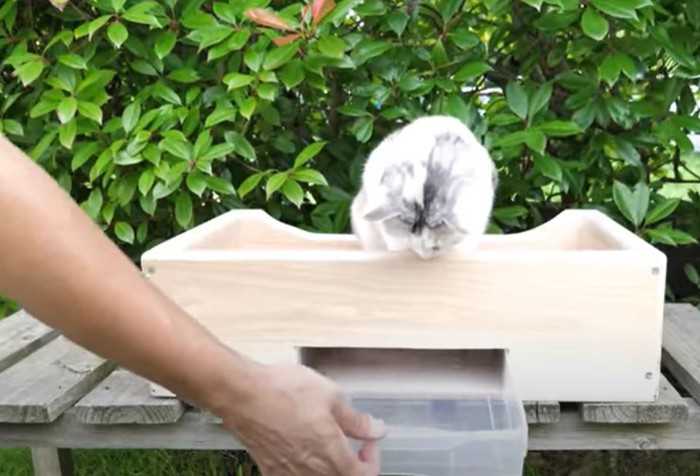 猫砂賽銭箱6