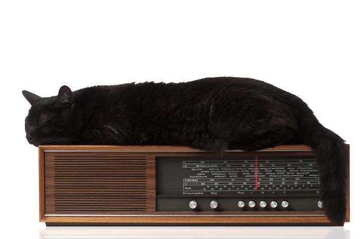 ラジオの上でくつろぐ黒猫