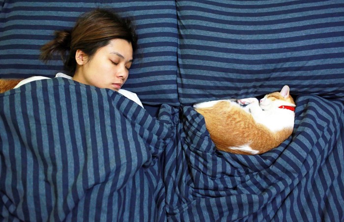 ベッドで眠る女性と猫