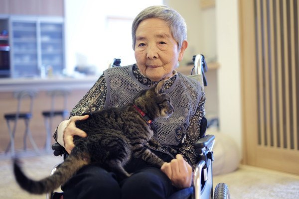 猫を抱っこするおばあさん
