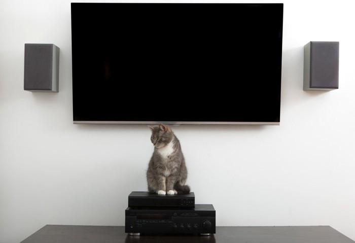 テレビの前の機械の上に座る猫