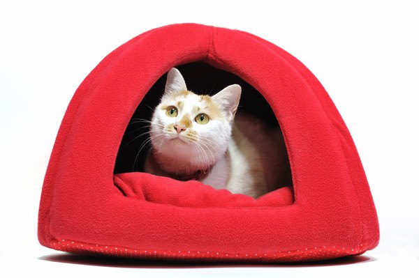 赤い猫ハウス