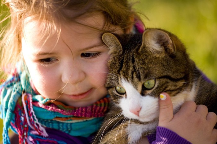 猫を抱っこする小さな女の子