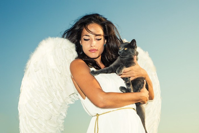 天使と猫
