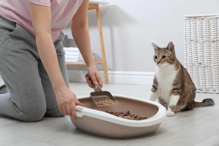 猫用トイレを掃除する飼い主さん