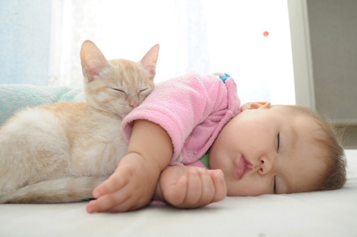 赤ちゃんの脇の下で寝ている猫