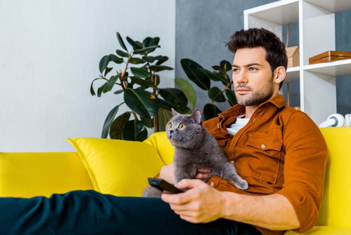 男性とテレビを見る猫