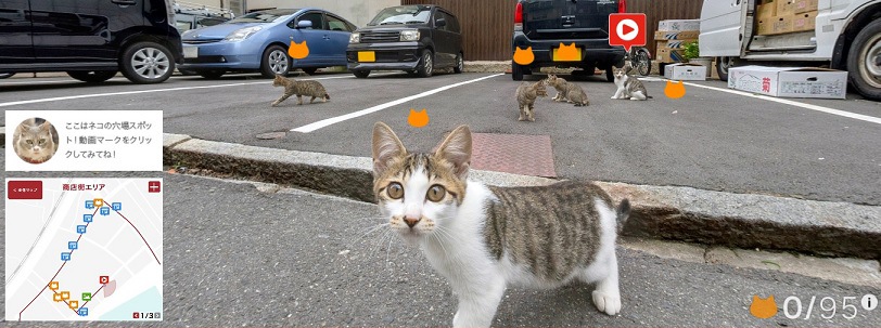 駐車場の猫達