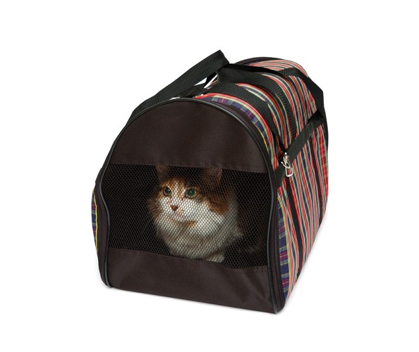 布の鞄に入る猫