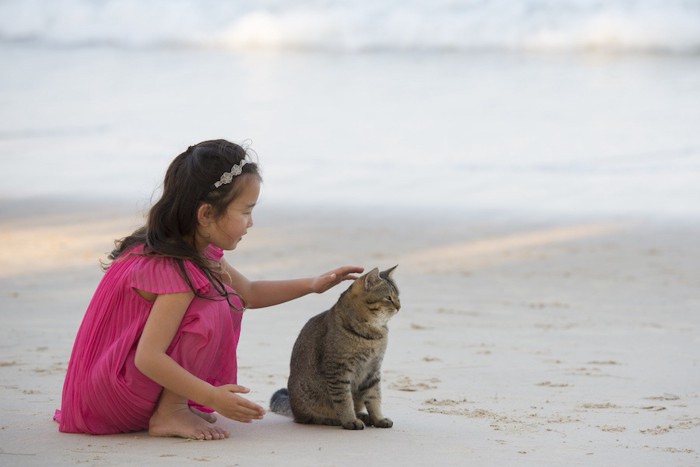 浜辺で猫を撫でる女の子
