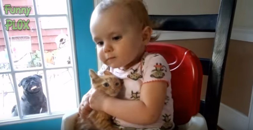子猫を抱く幼児