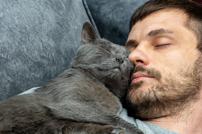 男性の顔の側に寝る猫