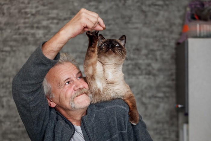 老人男性と猫