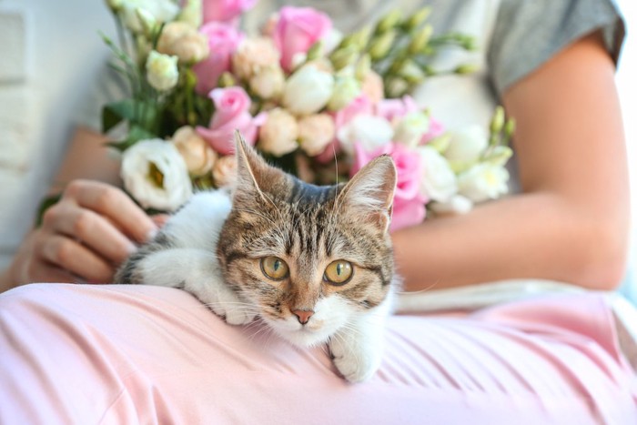 花を抱いた人の膝に乗る猫