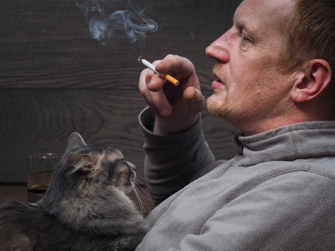 タバコを吸っている男性に抱かれる猫