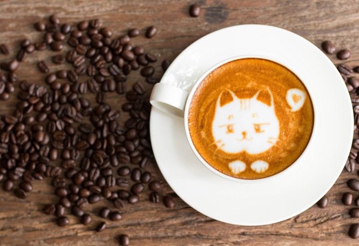 猫が描かれたコーヒー