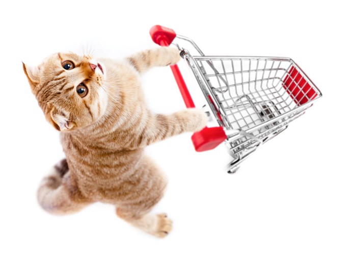 スーパーのカートを握る茶トラ猫