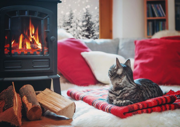 暖炉の前で寛ぐ猫