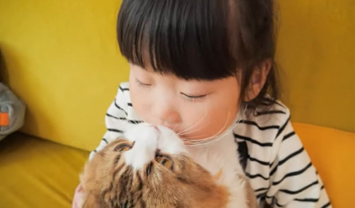子供にキスされる猫